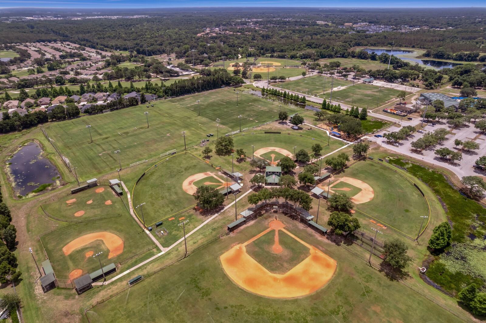 22953 BAY CEDAR DR, LAND O LAKES, FL, 34639