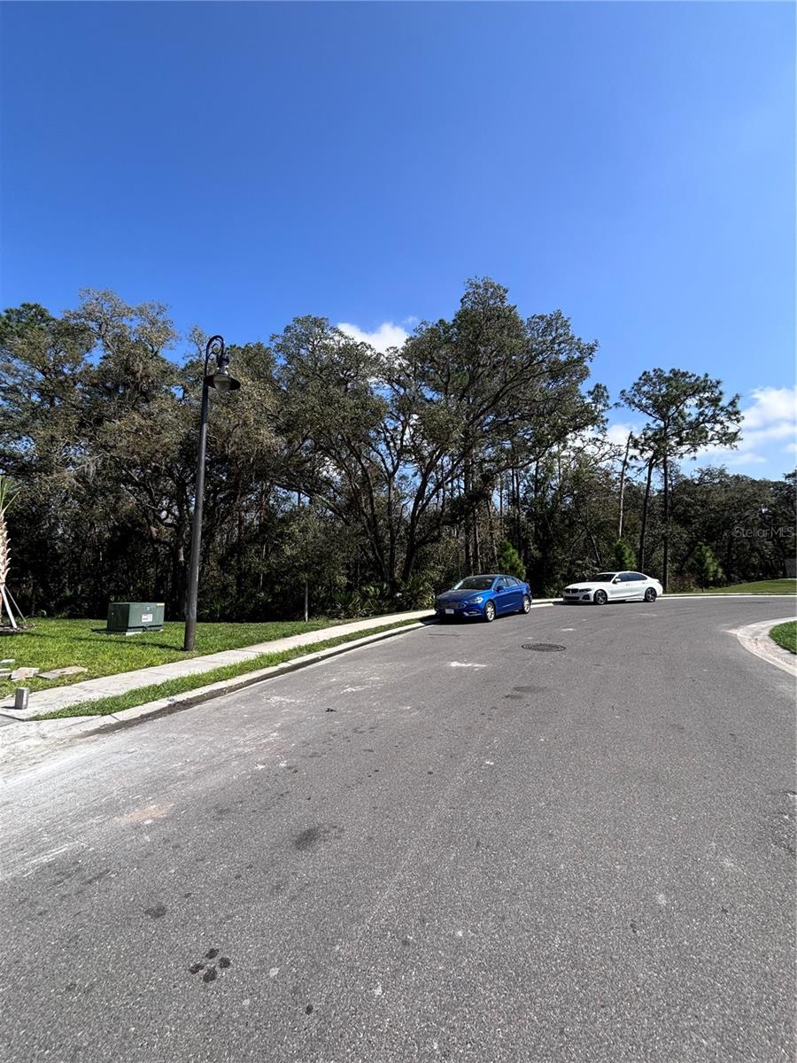 3010 CANARY AVE, DAVENPORT, FL, 33837