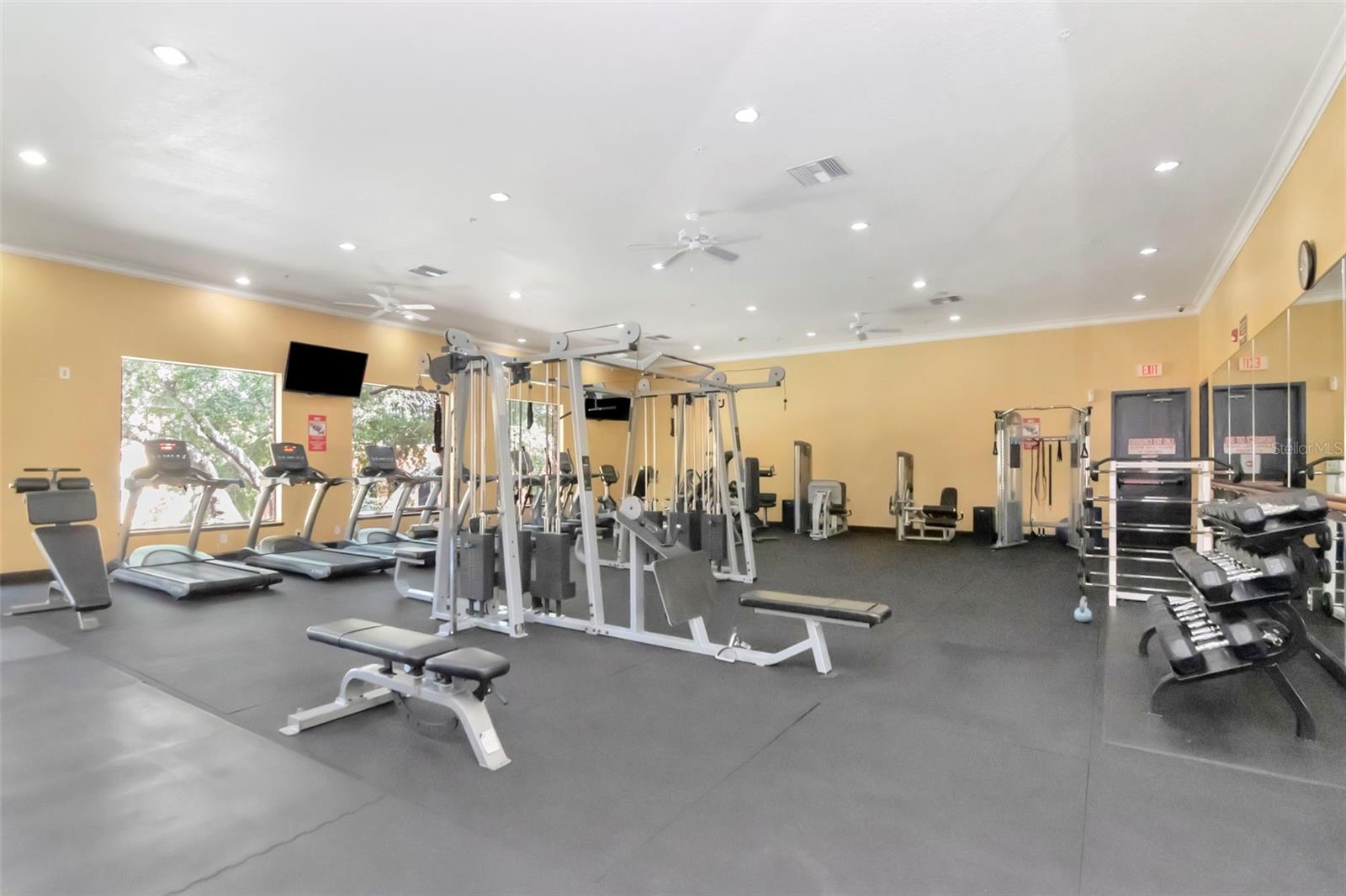 2010 E PALM AVE #15310, TAMPA, FL, 33605