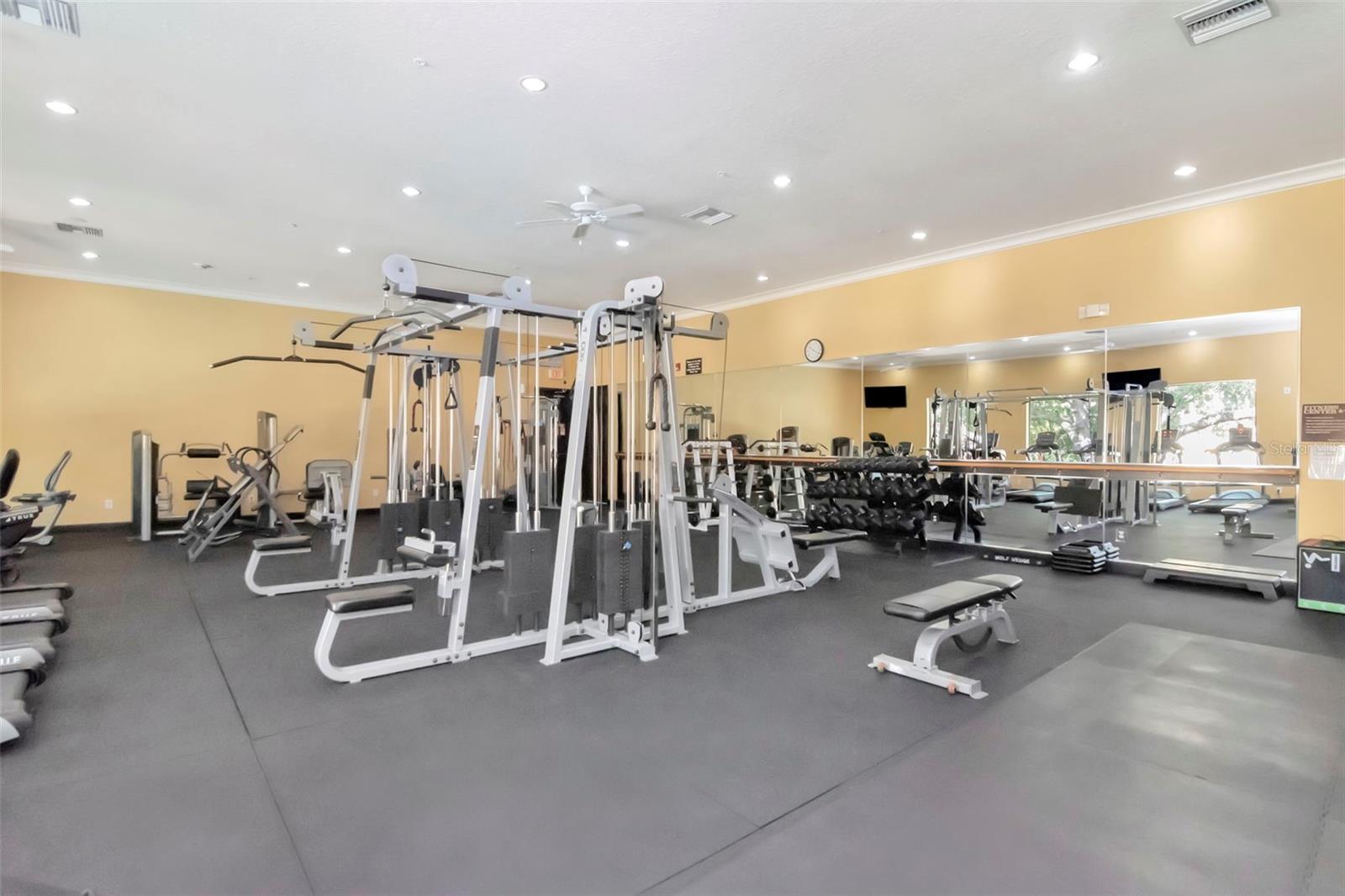 2010 E PALM AVE #15310, TAMPA, FL, 33605