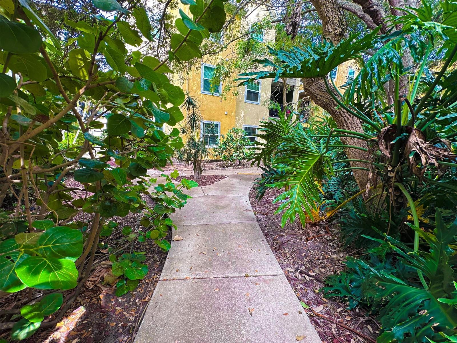 2010 E PALM AVE #15310, TAMPA, FL, 33605