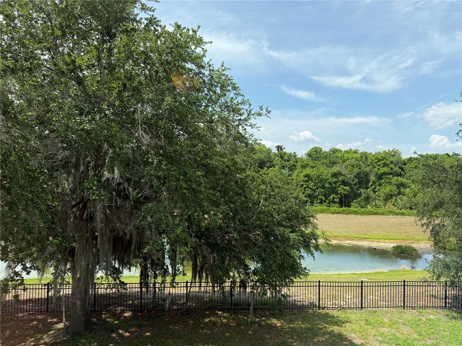 345 BEACON POINTE DR, OCOEE, FL, 34761