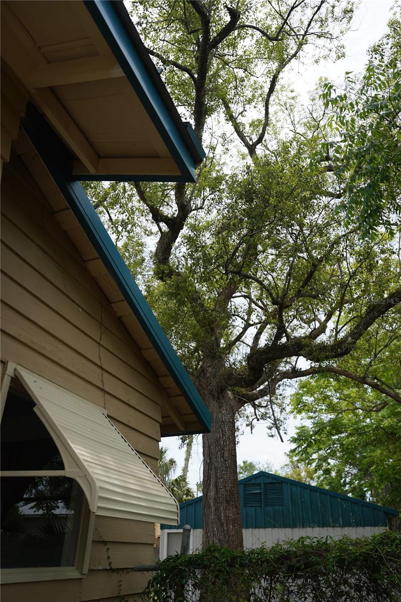 1004 TALTON AVE, DELAND, FL, 32720
