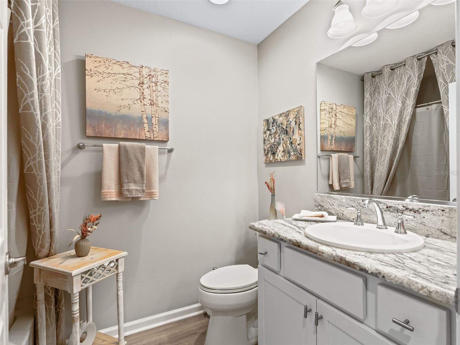 5672 GRIMES CT, THE VILLAGES, FL, 32163