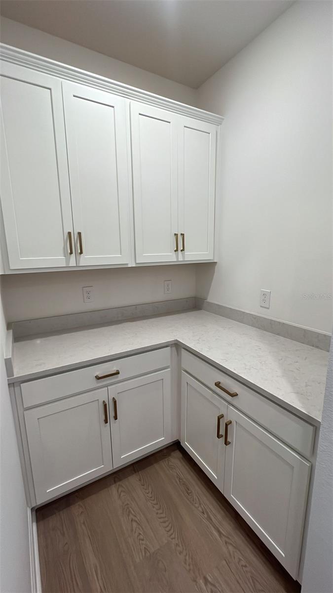 11965 BRACCO ST, WINTER GARDEN, FL, 34787