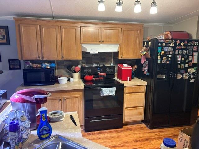 12119 TERRA CEIA AVE, NEW PORT RICHEY, FL, 34654