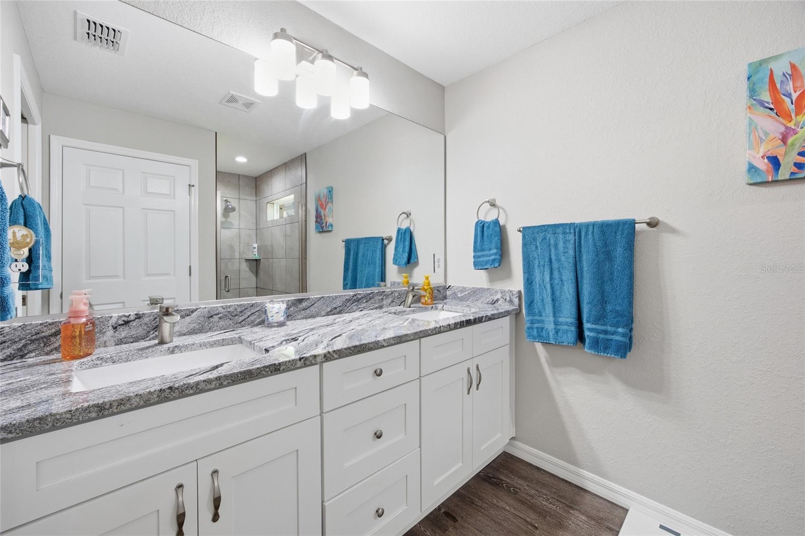141 FISHER WAY, OCKLAWAHA, FL, 32179