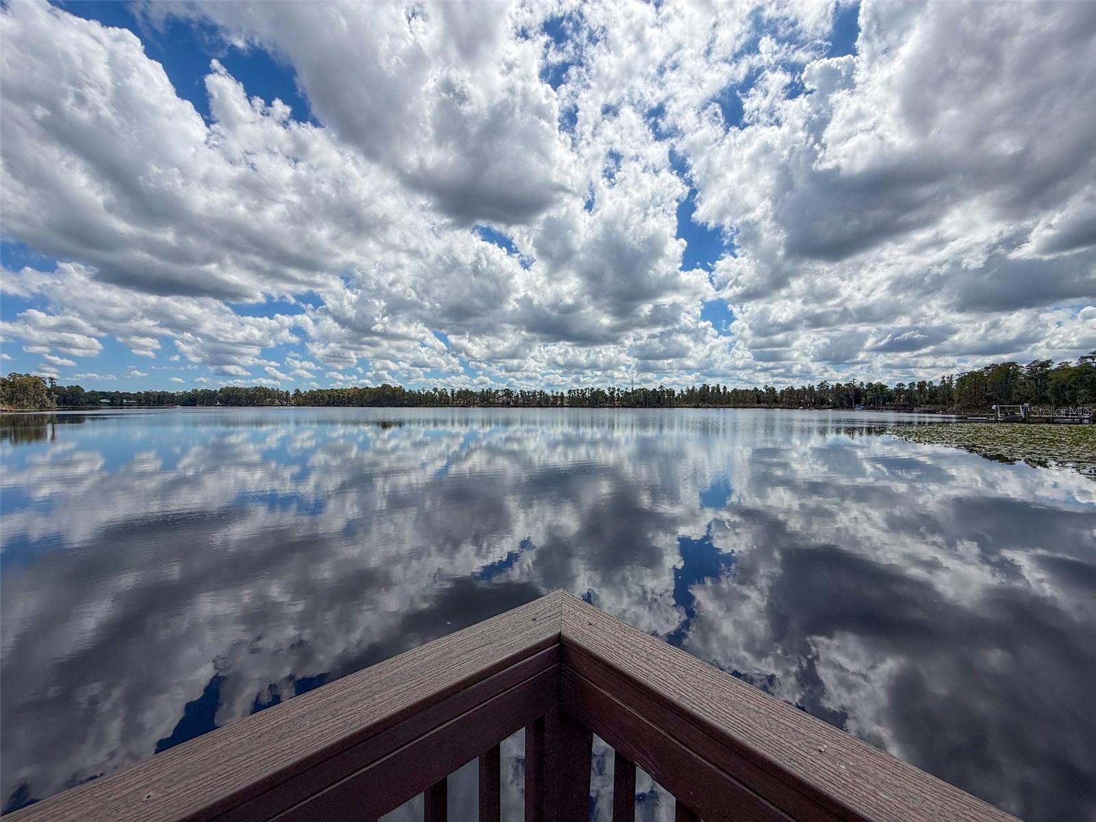 11143 RAGSDALE CT, NEW PORT RICHEY, FL, 34654
