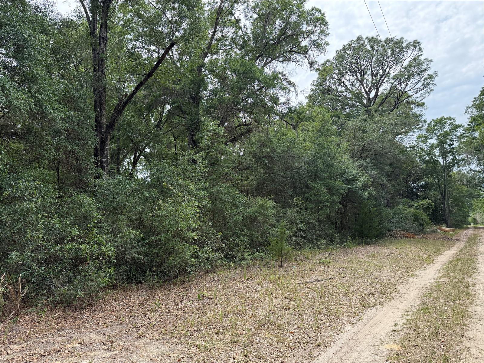 SW 31ST PL, OCALA, FL, 34481