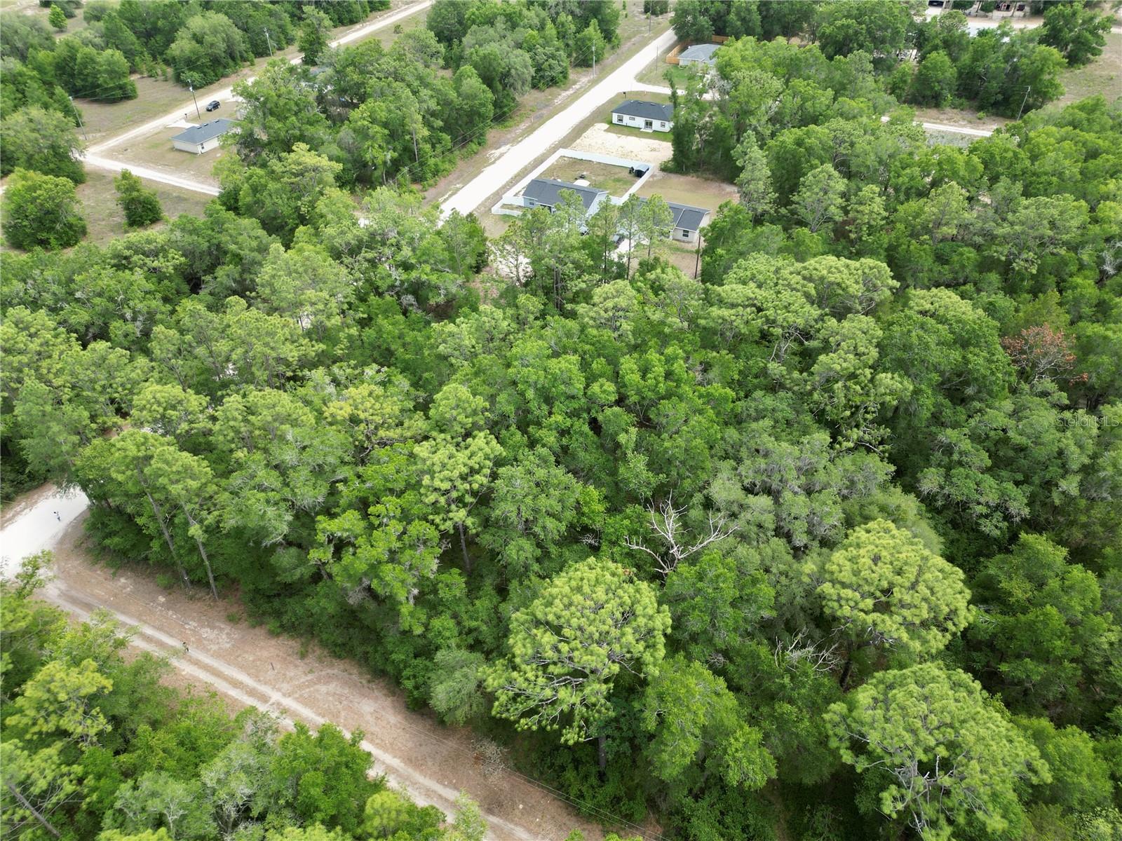 SW 31ST PL, OCALA, FL, 34481