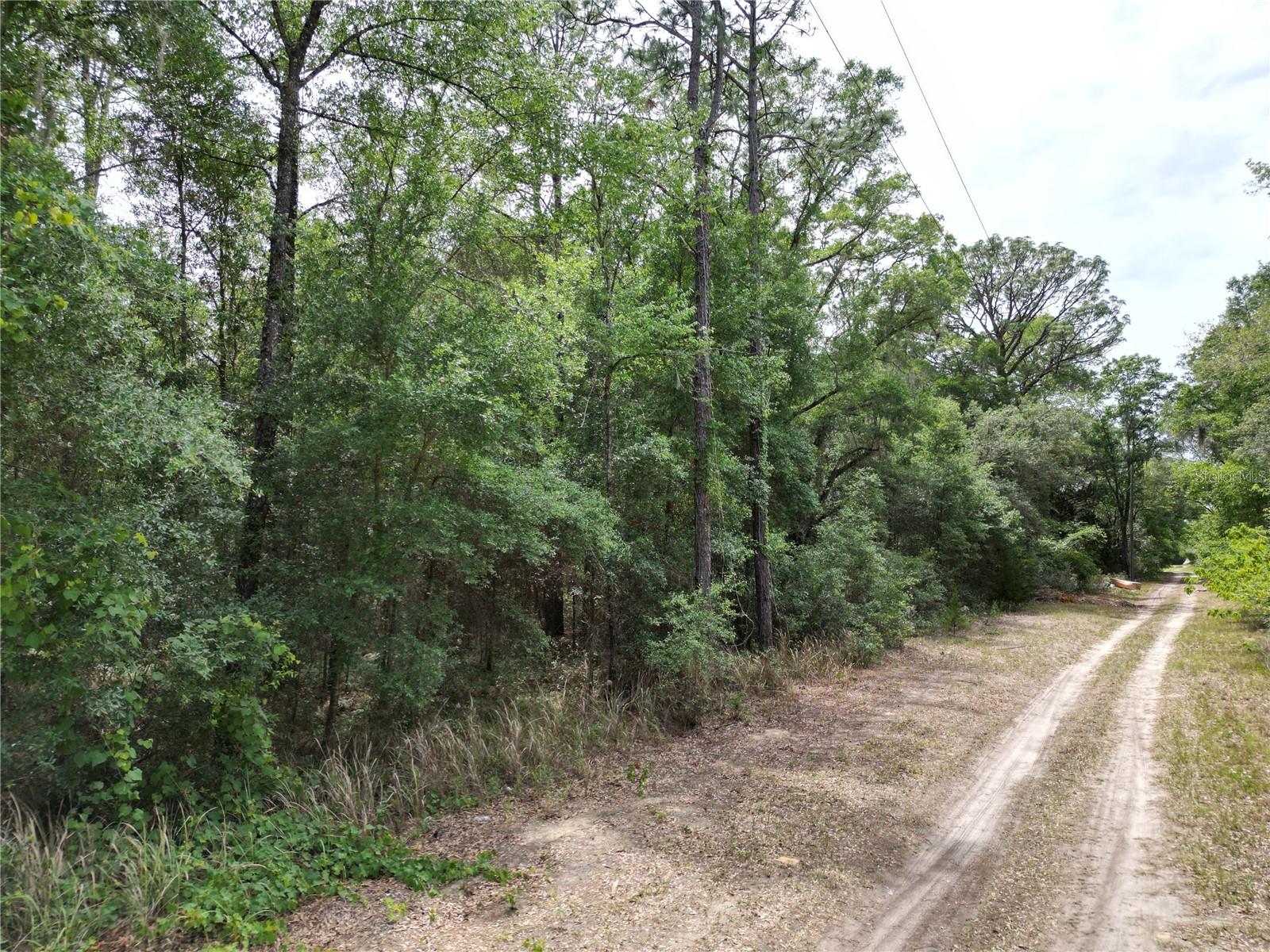 SW 31ST PL, OCALA, FL, 34481