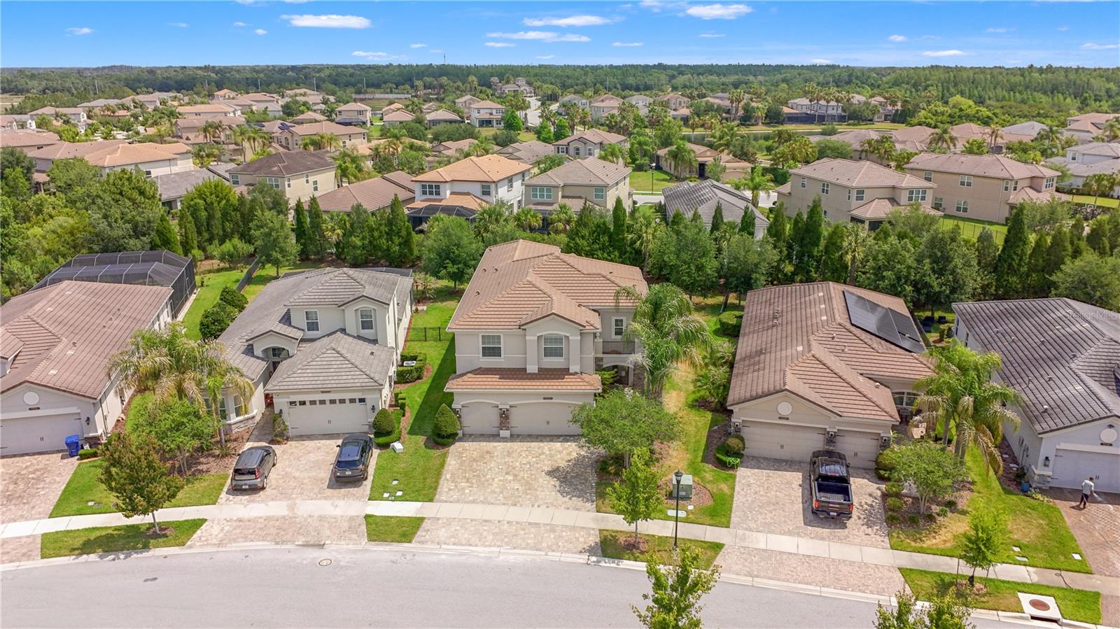 30271 SOUTHERN WOOD COURT, WESLEY CHAPEL, FL, 33543