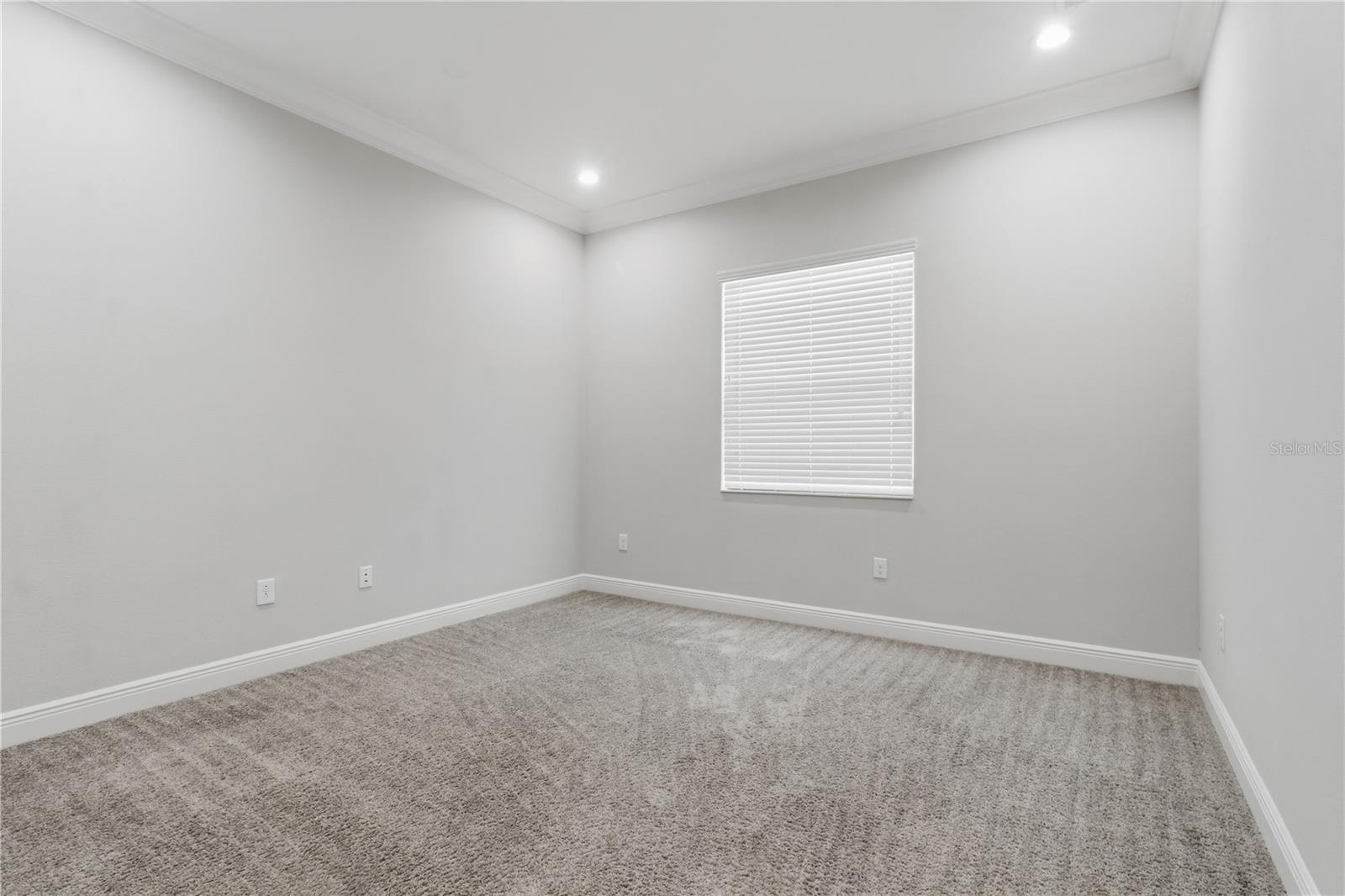 30271 SOUTHERN WOOD COURT, WESLEY CHAPEL, FL, 33543