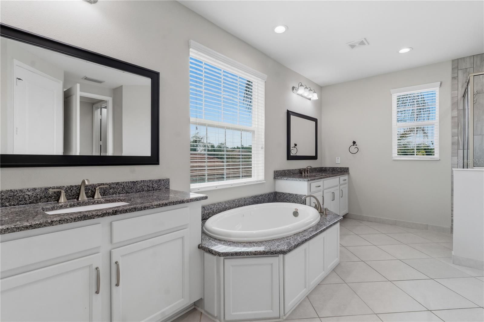 30271 SOUTHERN WOOD COURT, WESLEY CHAPEL, FL, 33543