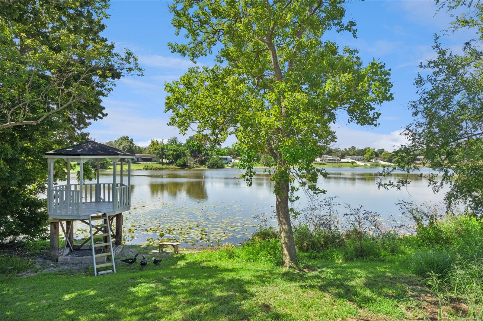 1212 RUSSELL DR, OCOEE, FL, 34761