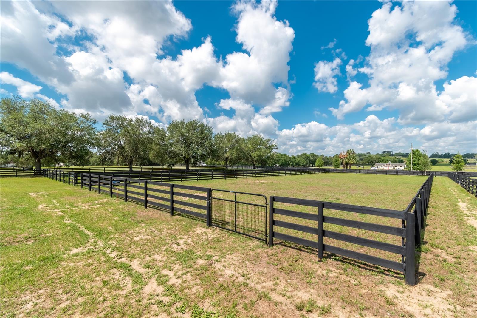 6957 NW 54TH LOOP, OCALA, FL, 34482
