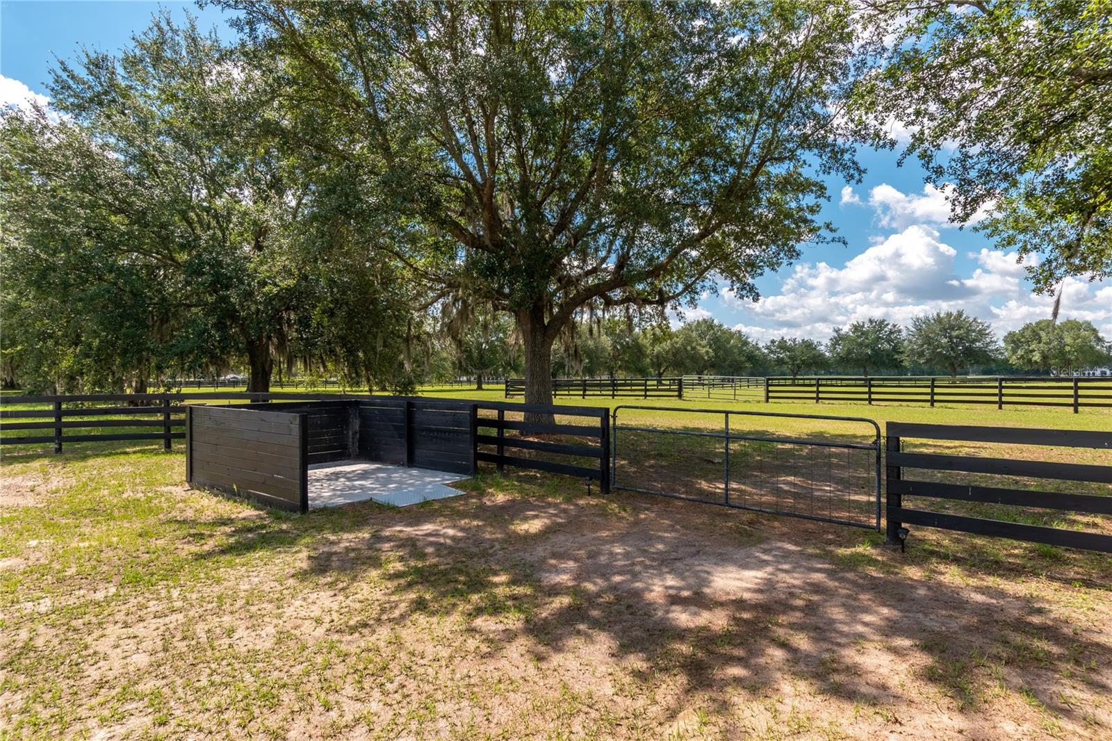 6957 NW 54TH LOOP, OCALA, FL, 34482