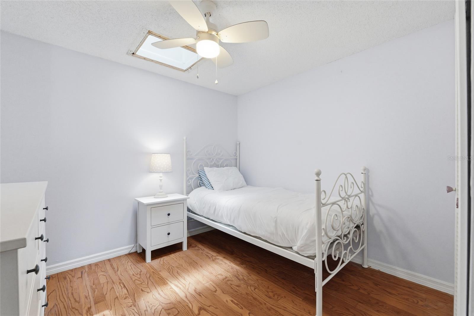 3807 W PALMIRA AVE, TAMPA, FL, 33629