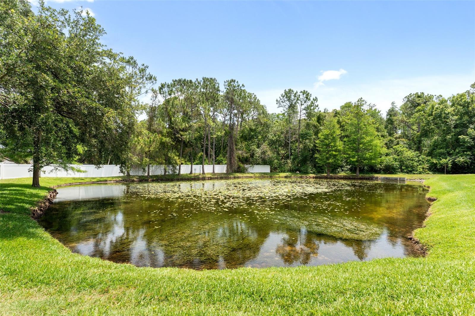 8421 EDGEWATER PLACE BLVD, TAMPA, FL, 33615