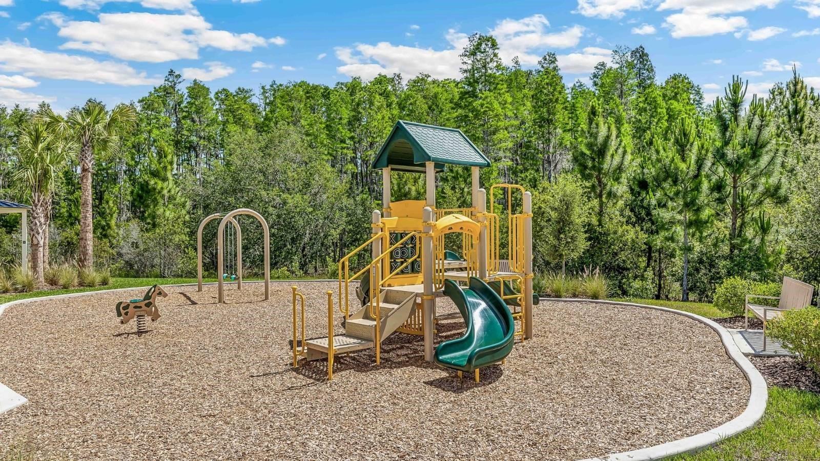 32538 MIDSUMMER NIGHT LN, WESLEY CHAPEL, FL, 33543