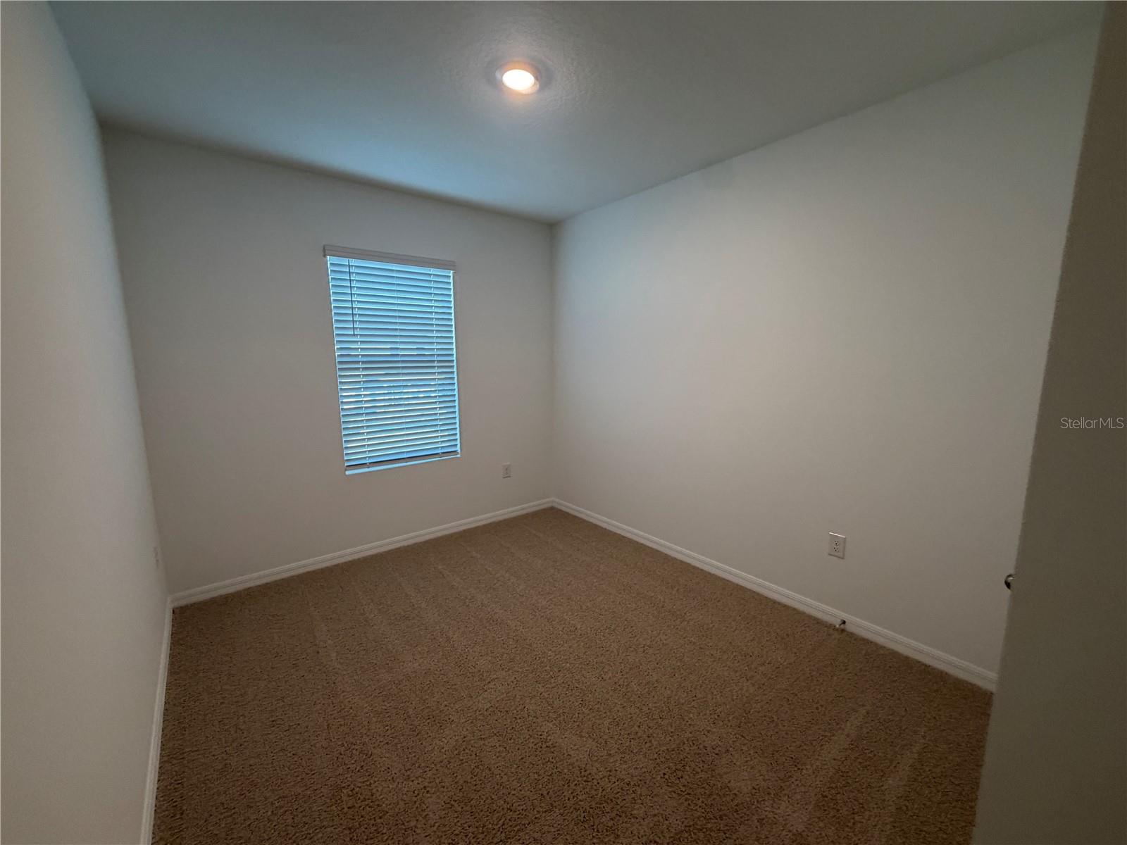32538 MIDSUMMER NIGHT LN, WESLEY CHAPEL, FL, 33543