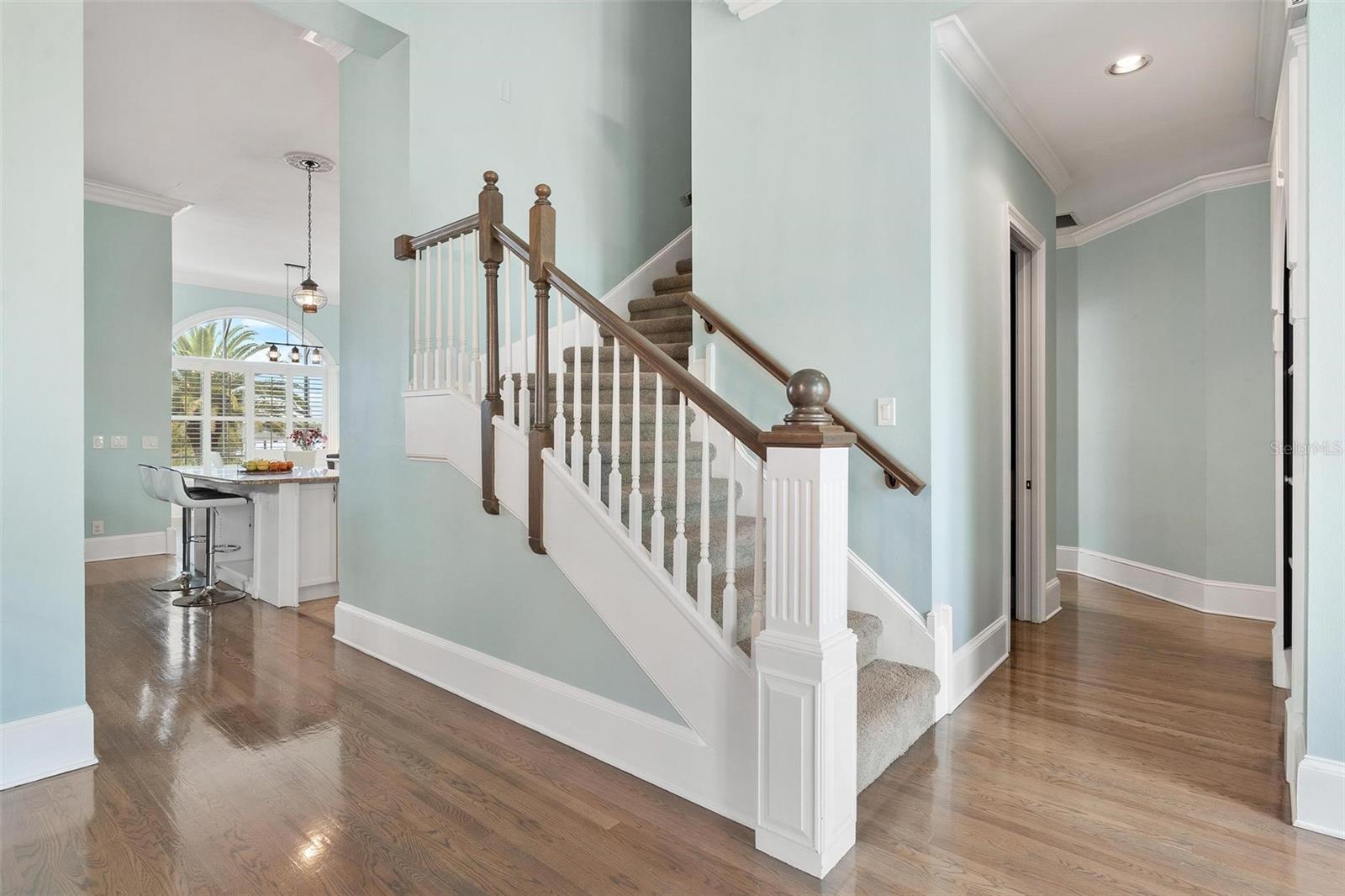 1641 EDGEWATER DR, MOUNT DORA, FL, 32757