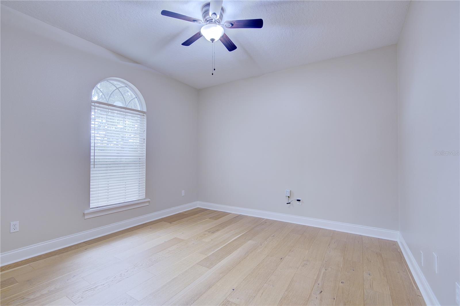 916 MILLS ESTATE PL, CHULUOTA, FL, 32766