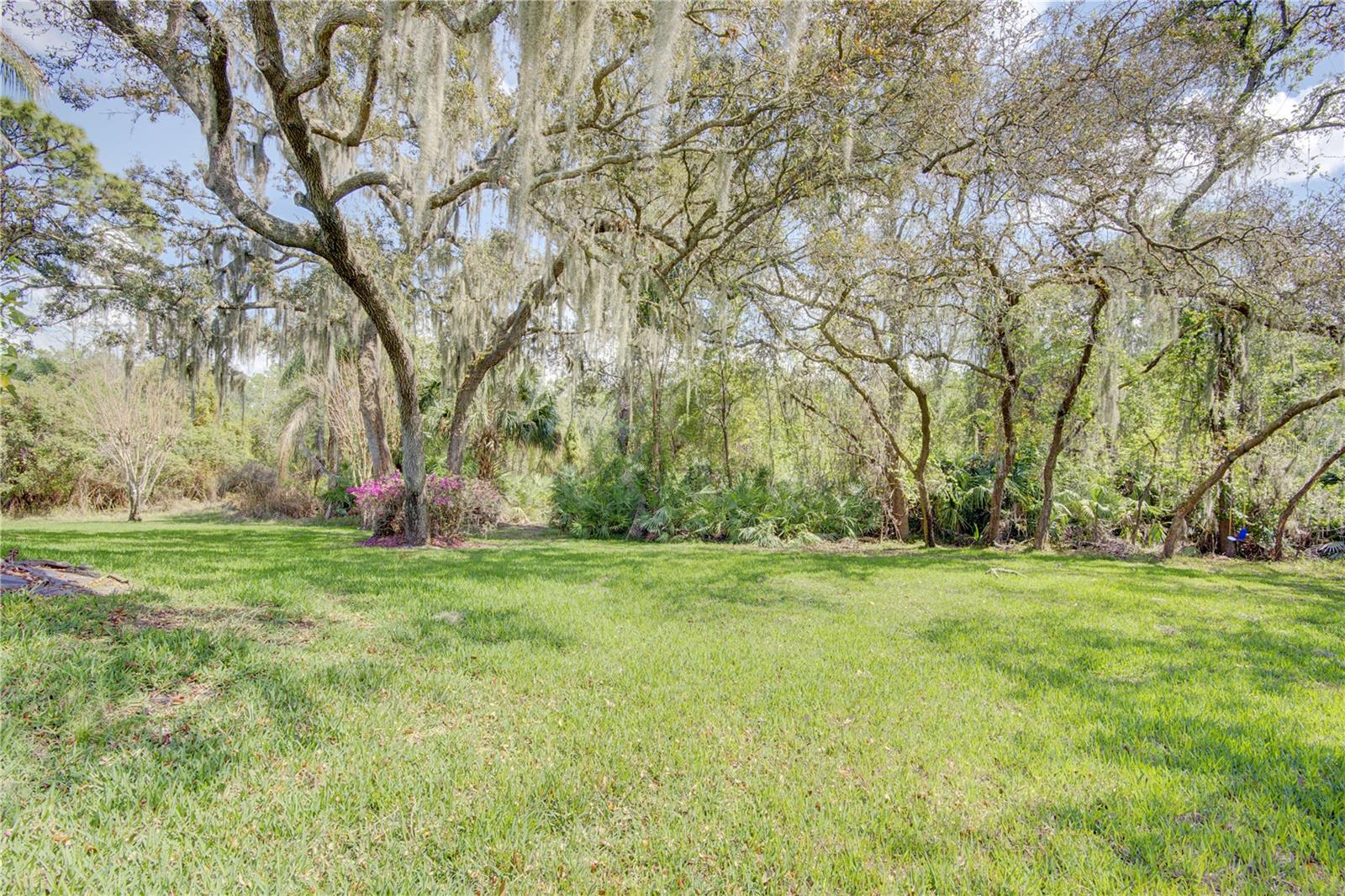 916 MILLS ESTATE PL, CHULUOTA, FL, 32766