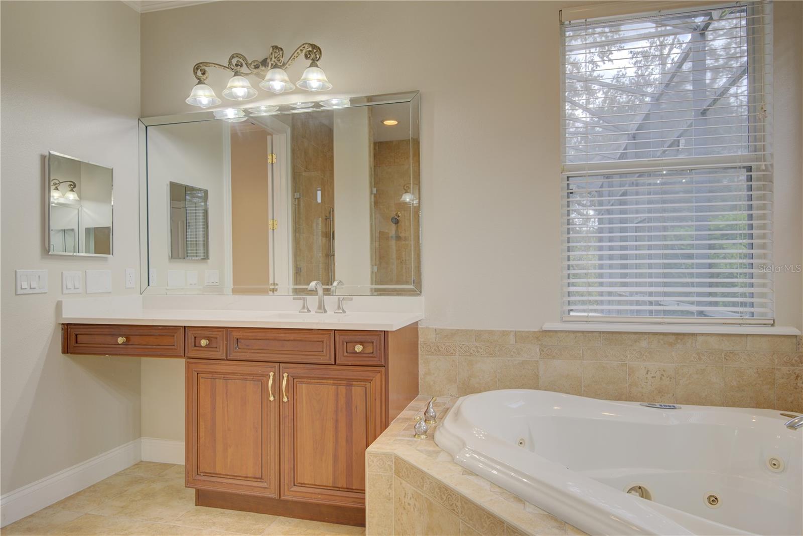 916 MILLS ESTATE PL, CHULUOTA, FL, 32766