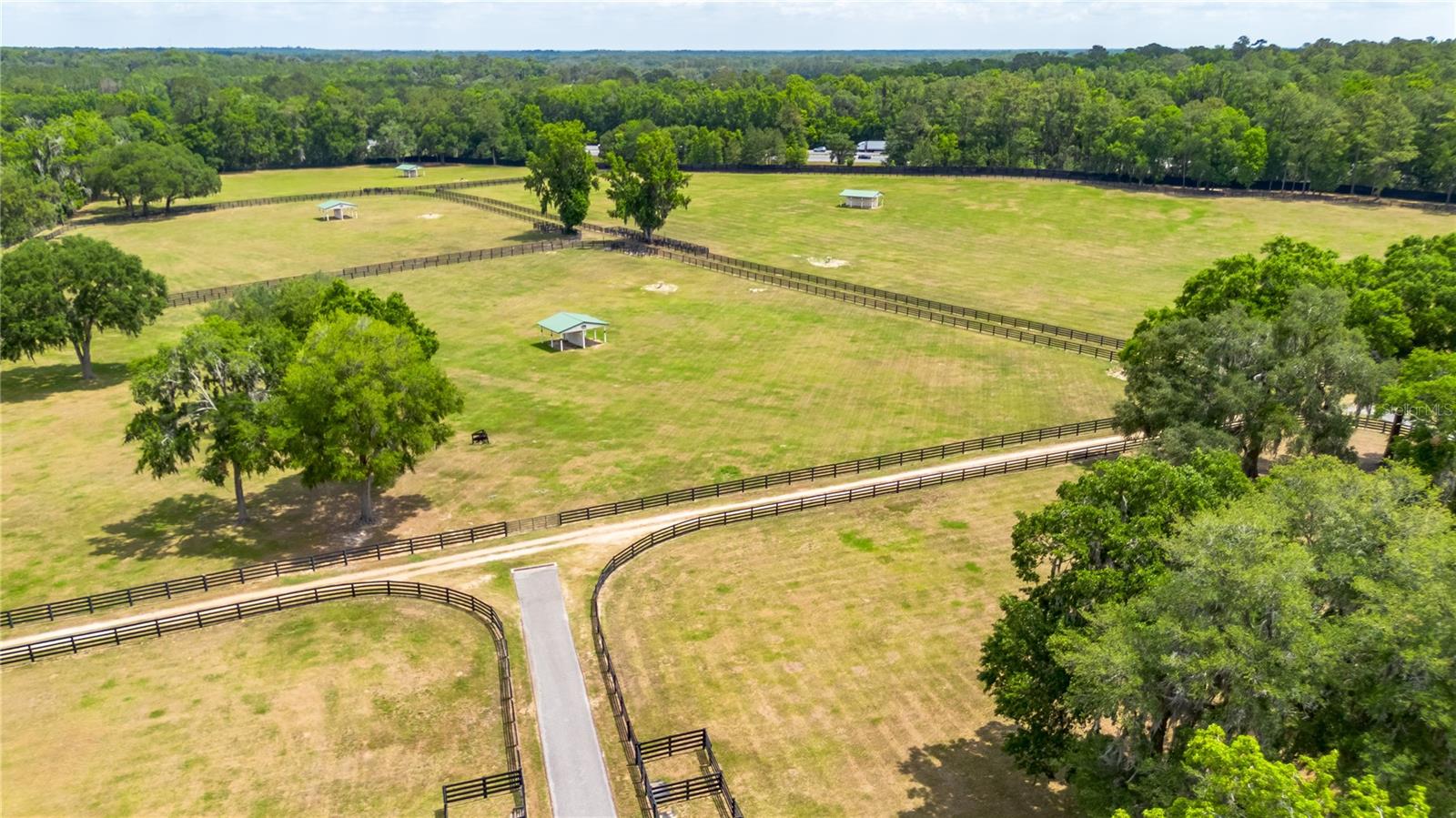 6157 W HIGHWAY 329, REDDICK, FL, 32686