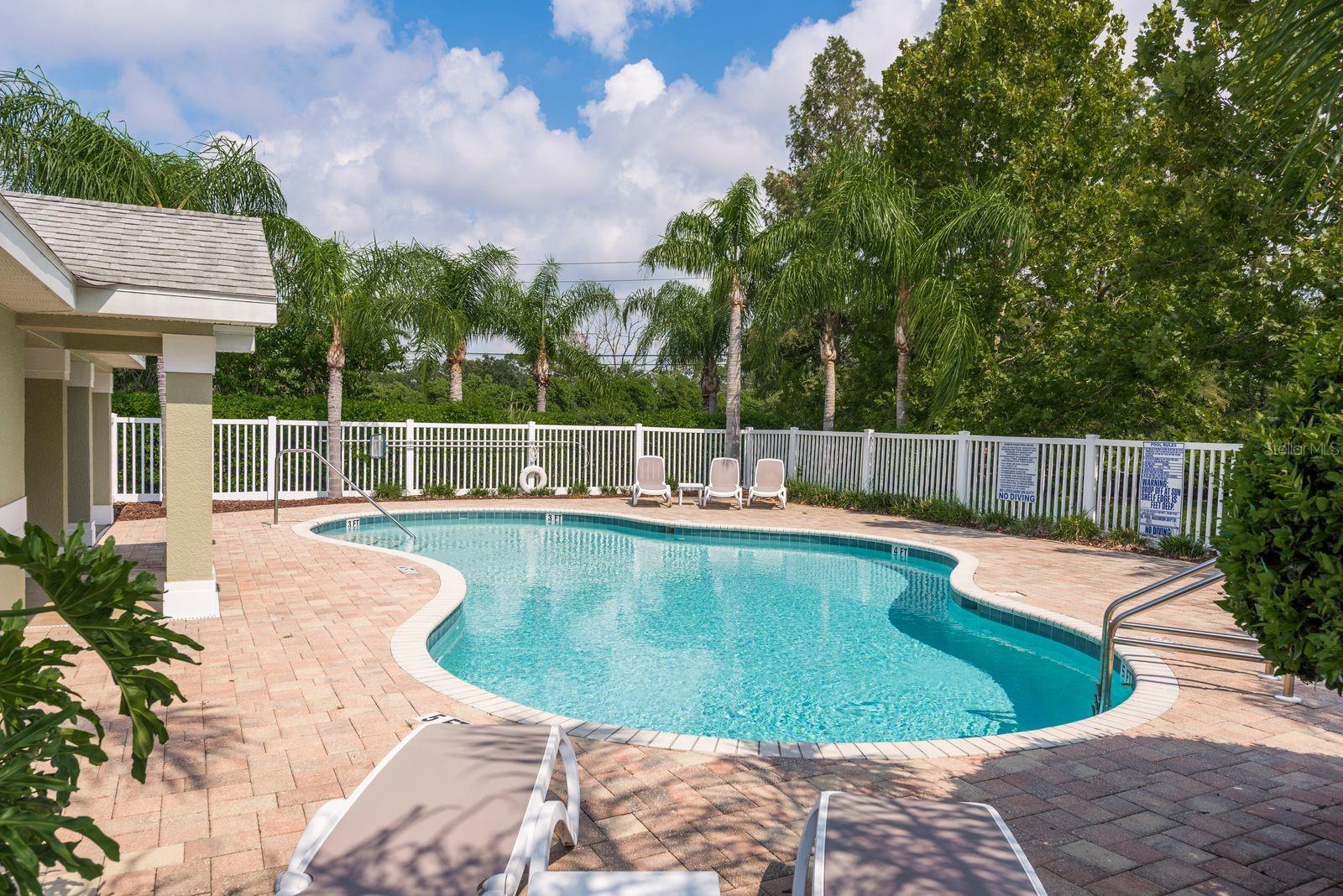 336 HARBOR RIDGE DR, PALM HARBOR, FL, 34683