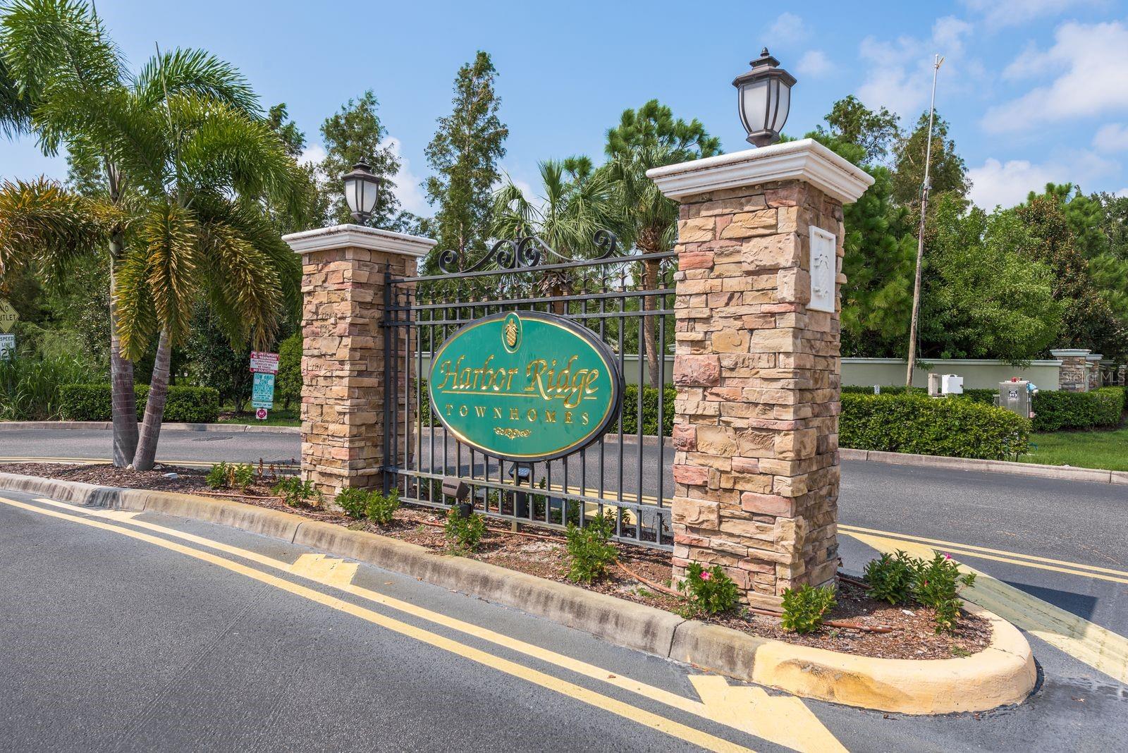 336 HARBOR RIDGE DR, PALM HARBOR, FL, 34683