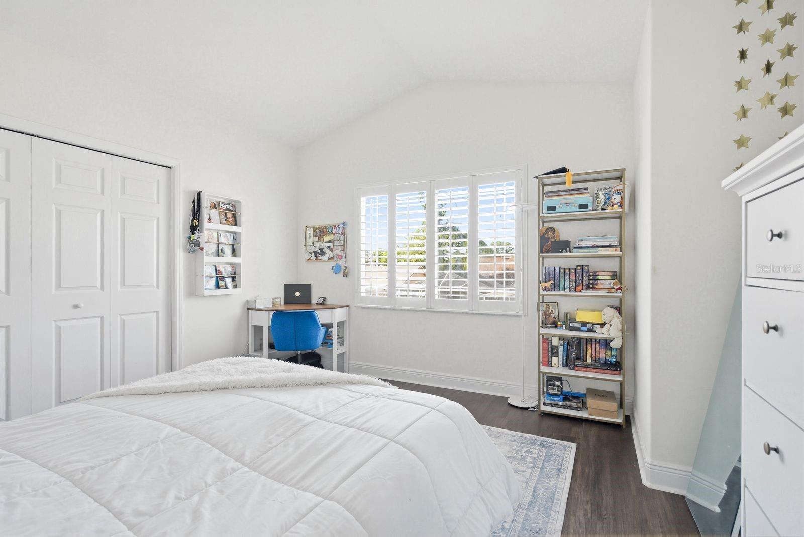 336 HARBOR RIDGE DR, PALM HARBOR, FL, 34683