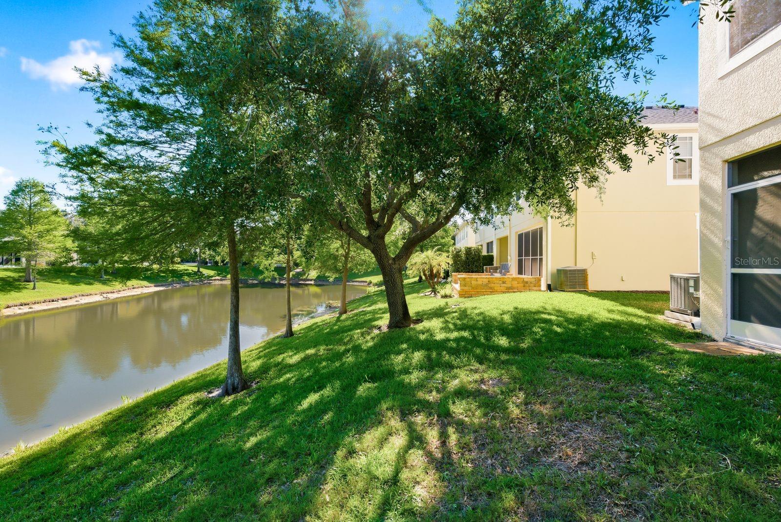 336 HARBOR RIDGE DR, PALM HARBOR, FL, 34683