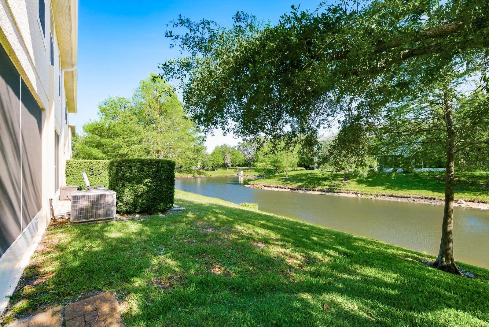 336 HARBOR RIDGE DR, PALM HARBOR, FL, 34683