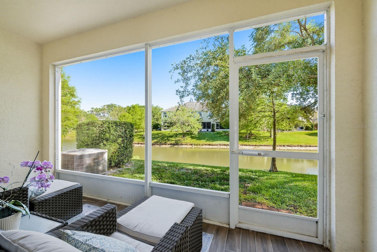336 HARBOR RIDGE DR, PALM HARBOR, FL, 34683
