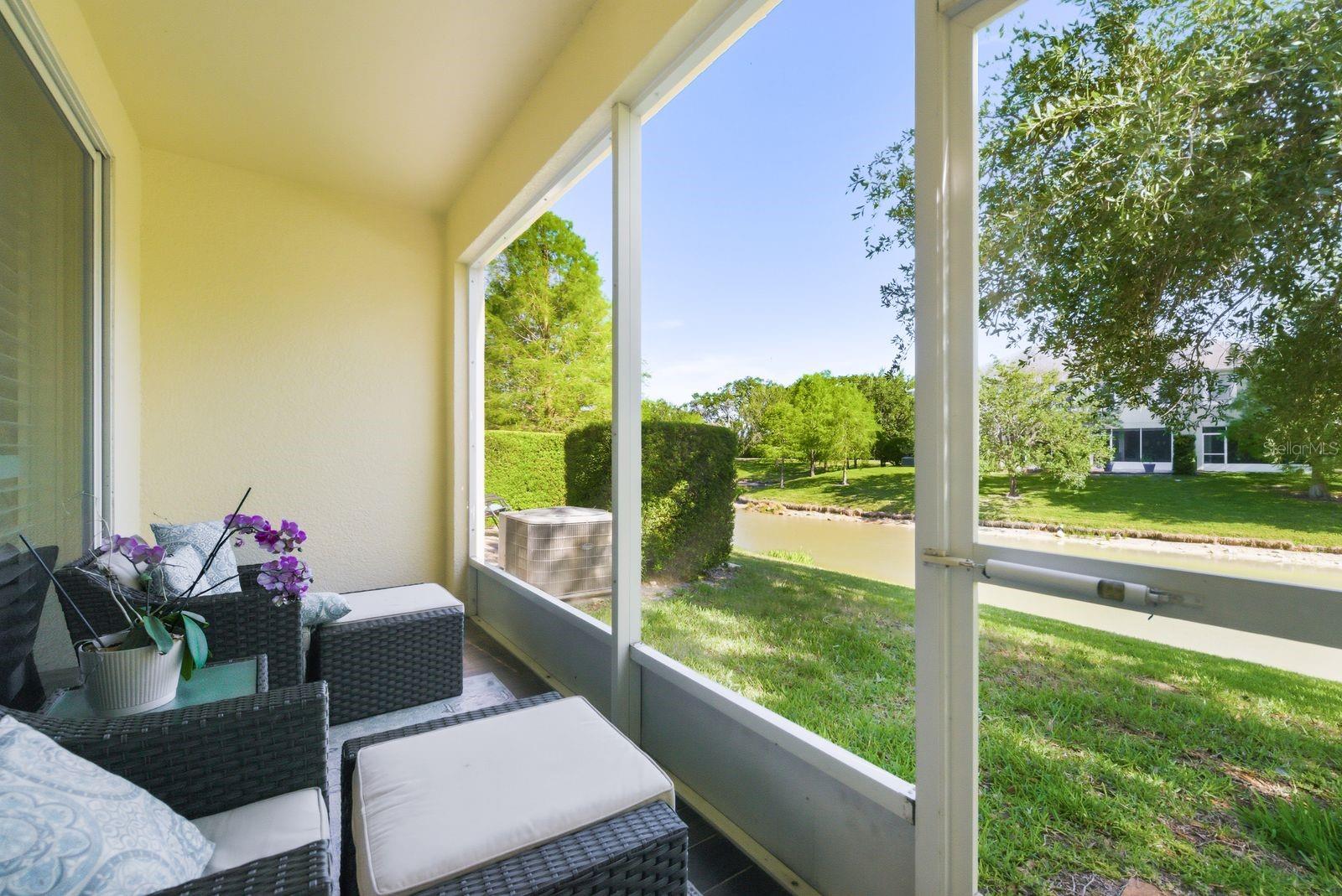 336 HARBOR RIDGE DR, PALM HARBOR, FL, 34683