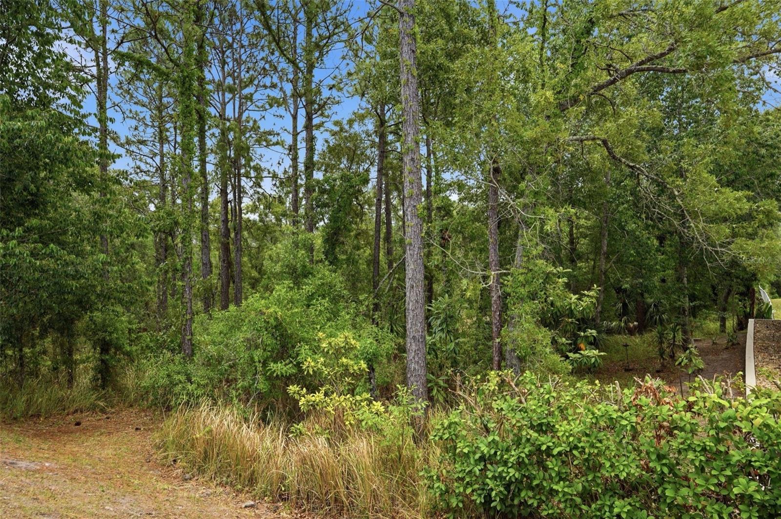 13897 BLYTHEWOOD DR, SPRING HILL, FL, 34609