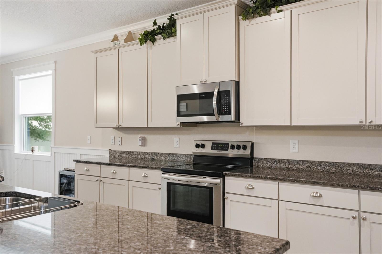 13897 BLYTHEWOOD DR, SPRING HILL, FL, 34609
