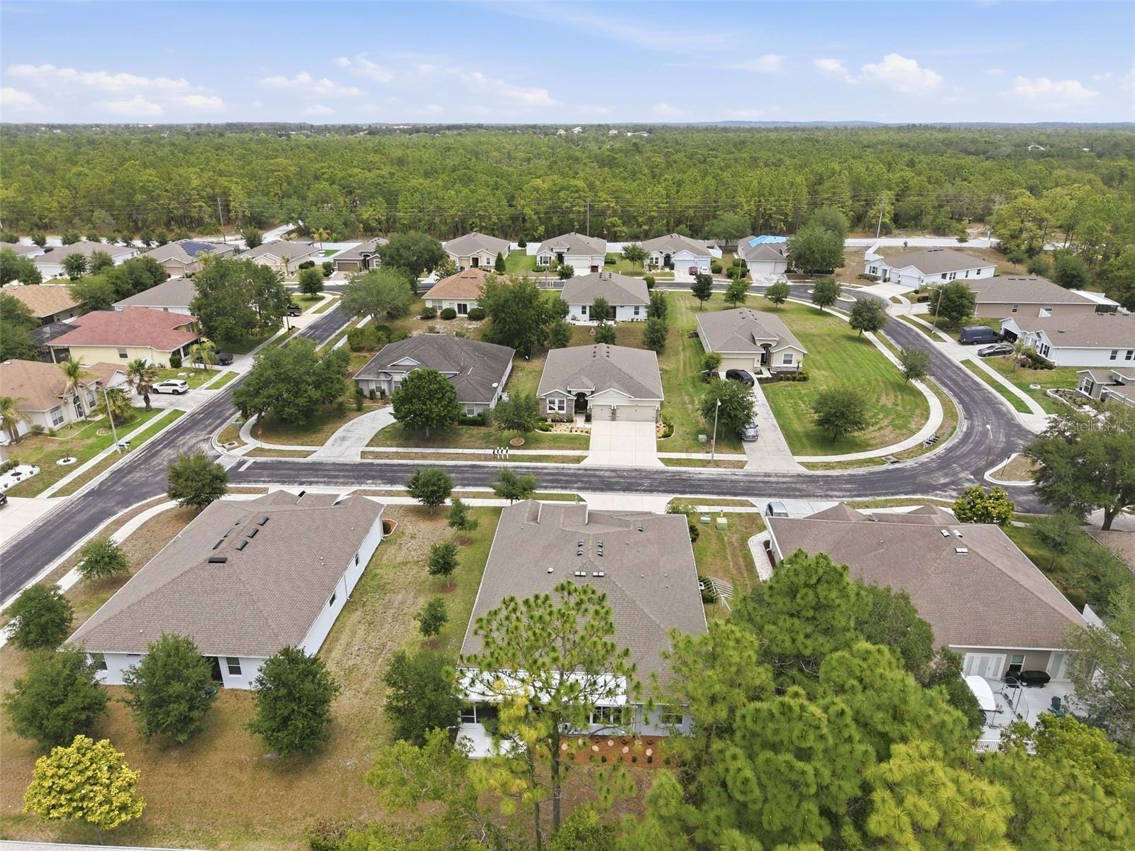 13897 BLYTHEWOOD DR, SPRING HILL, FL, 34609