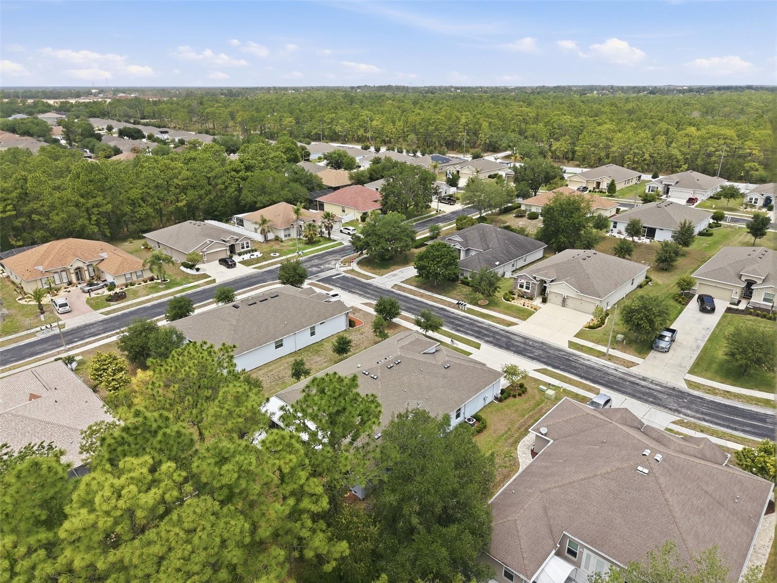13897 BLYTHEWOOD DR, SPRING HILL, FL, 34609