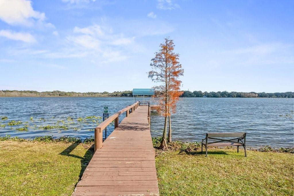 1204 LADY GUINEVERE DR, VALRICO, FL, 33594