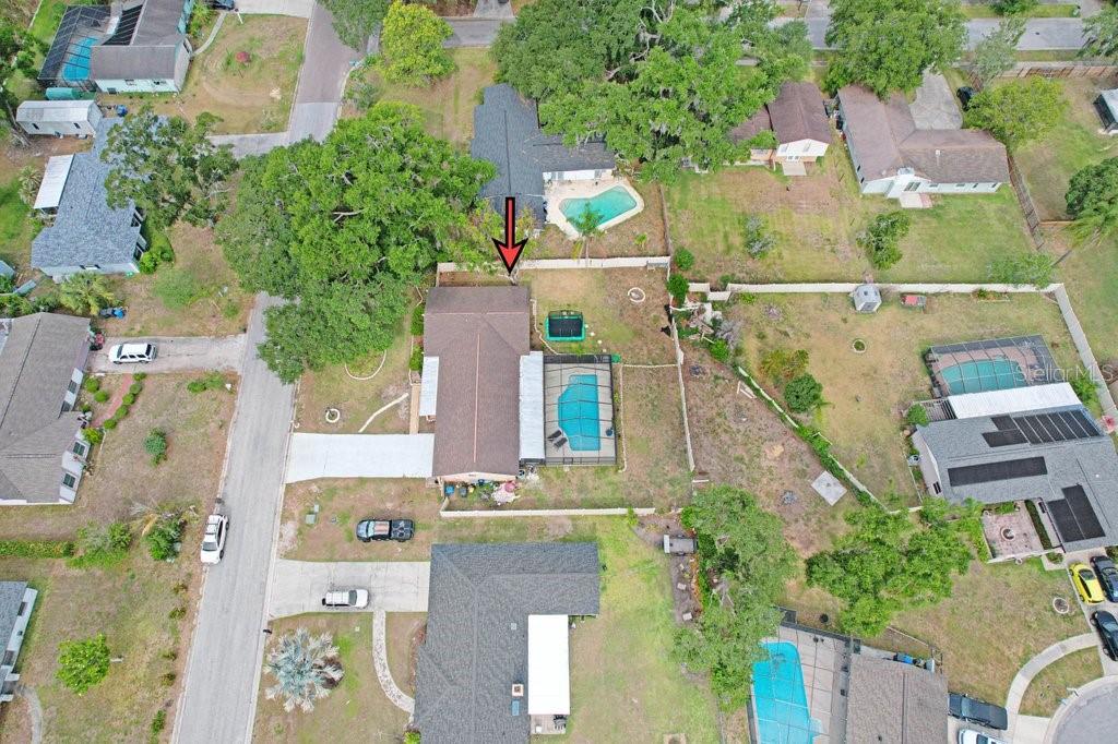 1204 LADY GUINEVERE DR, VALRICO, FL, 33594