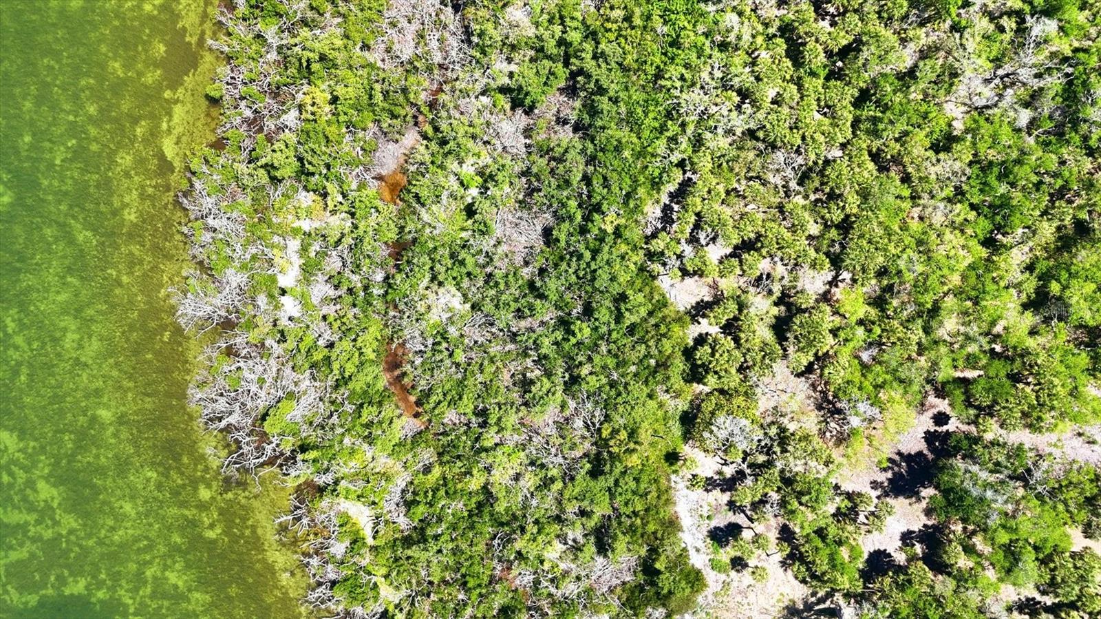0 MANASOTA KEY RD, ENGLEWOOD, FL, 34223