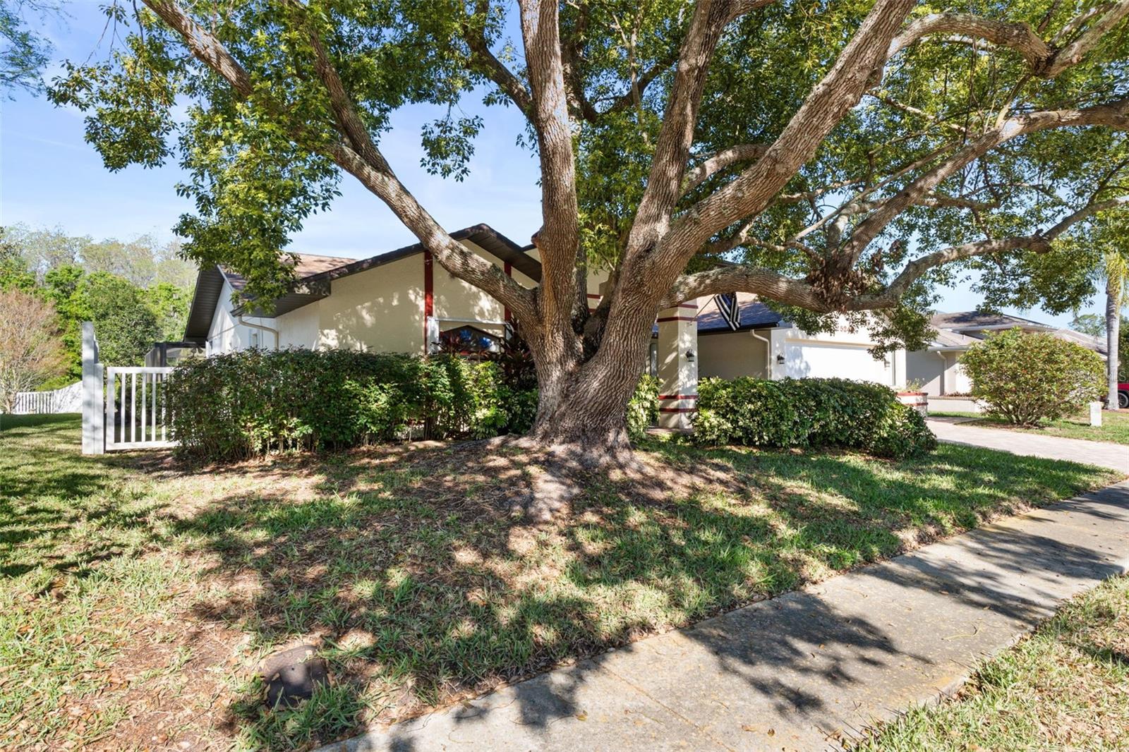5243 SALTAMONTE DR, NEW PORT RICHEY, FL, 34655