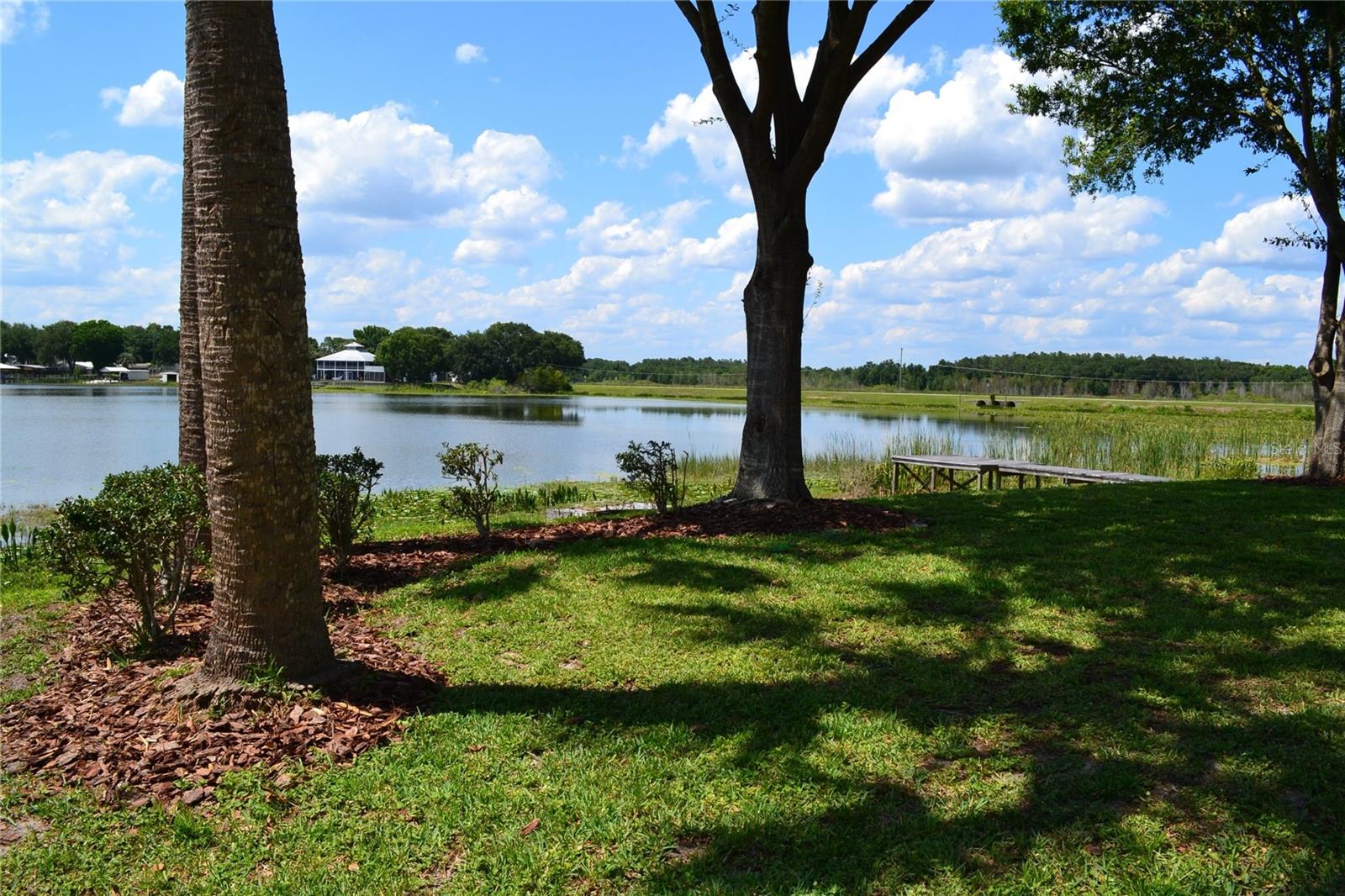 26 SE OCALE WAY, SUMMERFIELD, FL, 34491