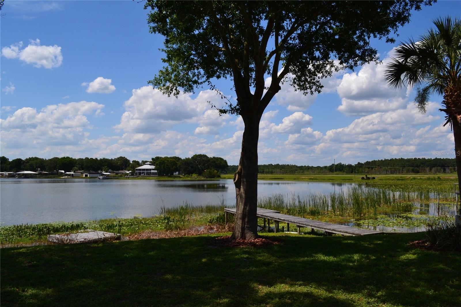 26 SE OCALE WAY, SUMMERFIELD, FL, 34491