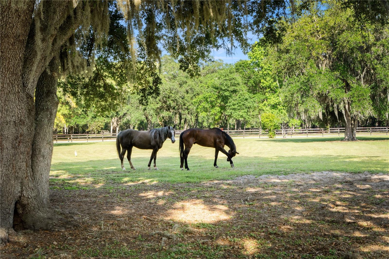 5901 SOLANA ST, ELKTON, FL, 32033