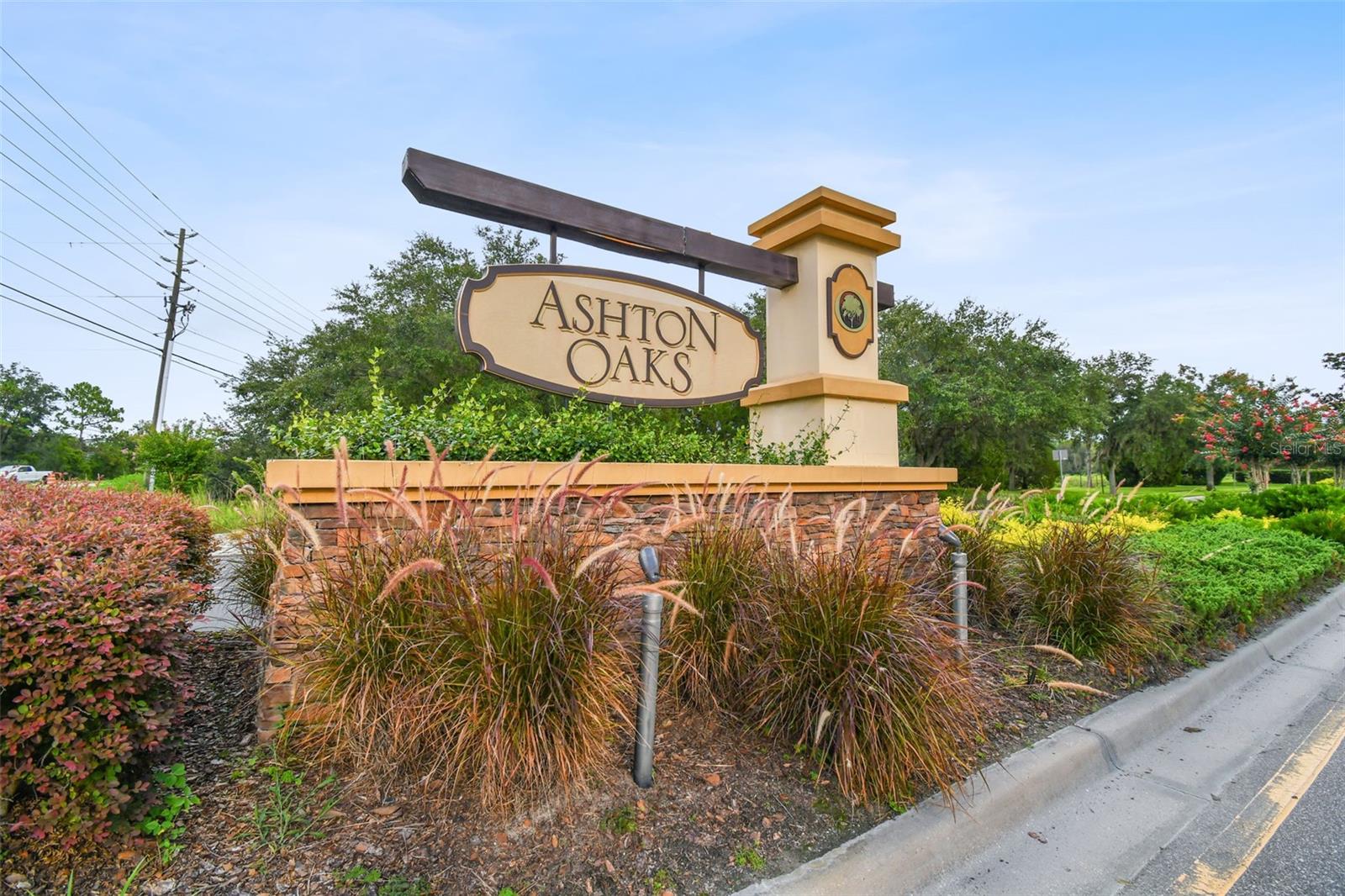 4329 ASHTON MEADOWS WAY, WESLEY CHAPEL, FL, 33543