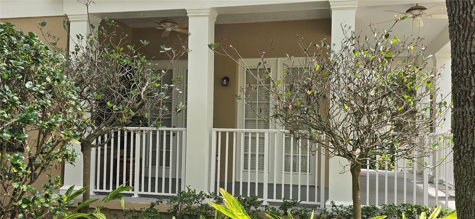 4249 CORRINE DR #8-104, ORLANDO, FL, 32814